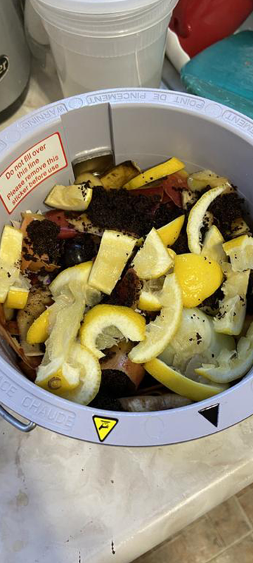 Photographie qui montre les reste de peau de citron qui est mit dans le récipient de la machine Optidéshydrate